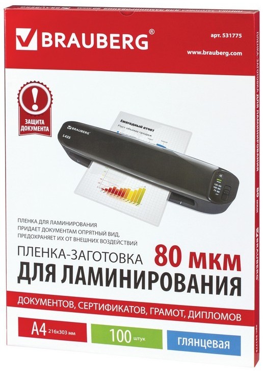 BRAUBERG 531775 100 шт.