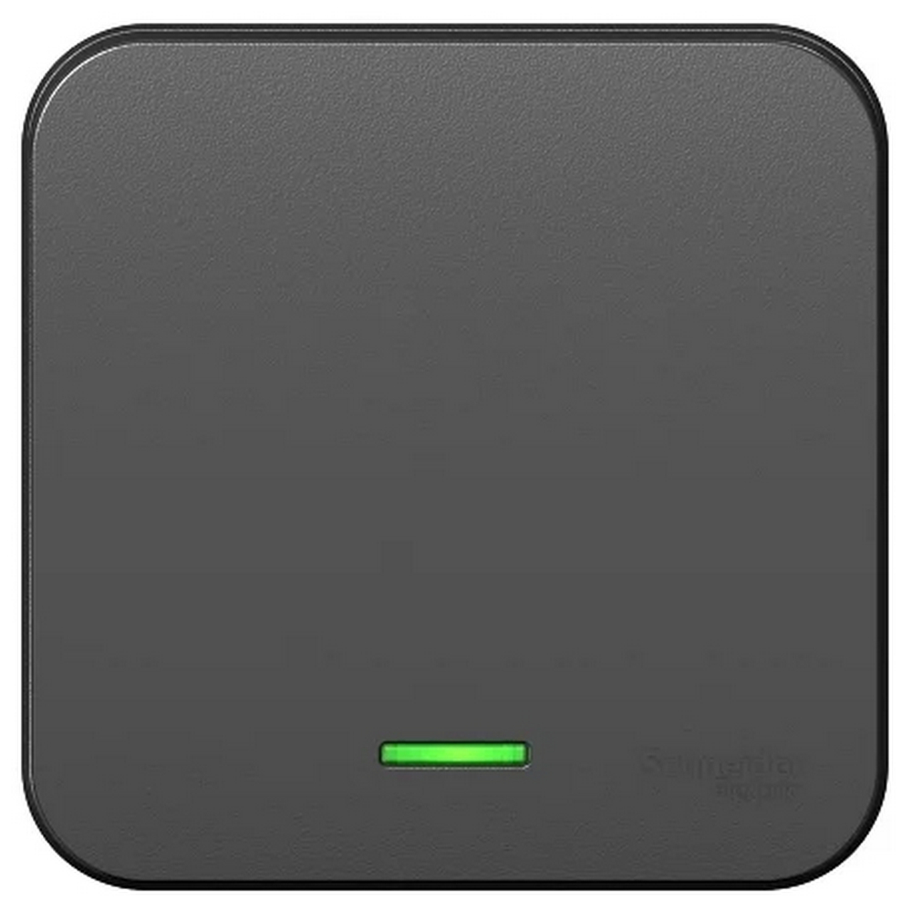 Выключатель Schneider Electric BLNVA101116 Blanca, 10 А (антрацит)