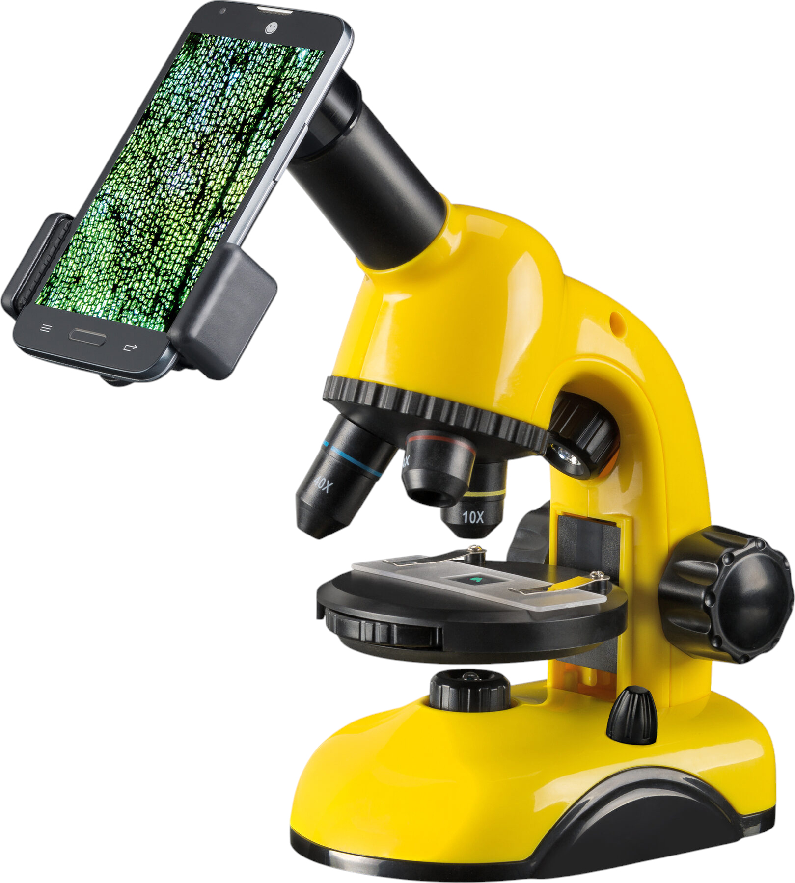 Bresser National Geographic 40x-800x (желто-черный)