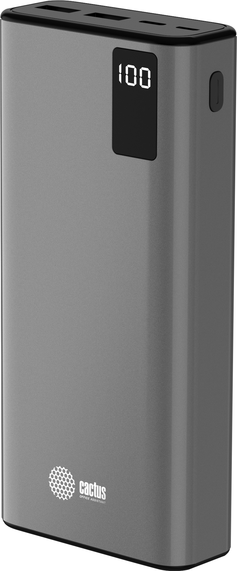 Мобильный аккумулятор Cactus CS-PBFSFA-20000 (серый)