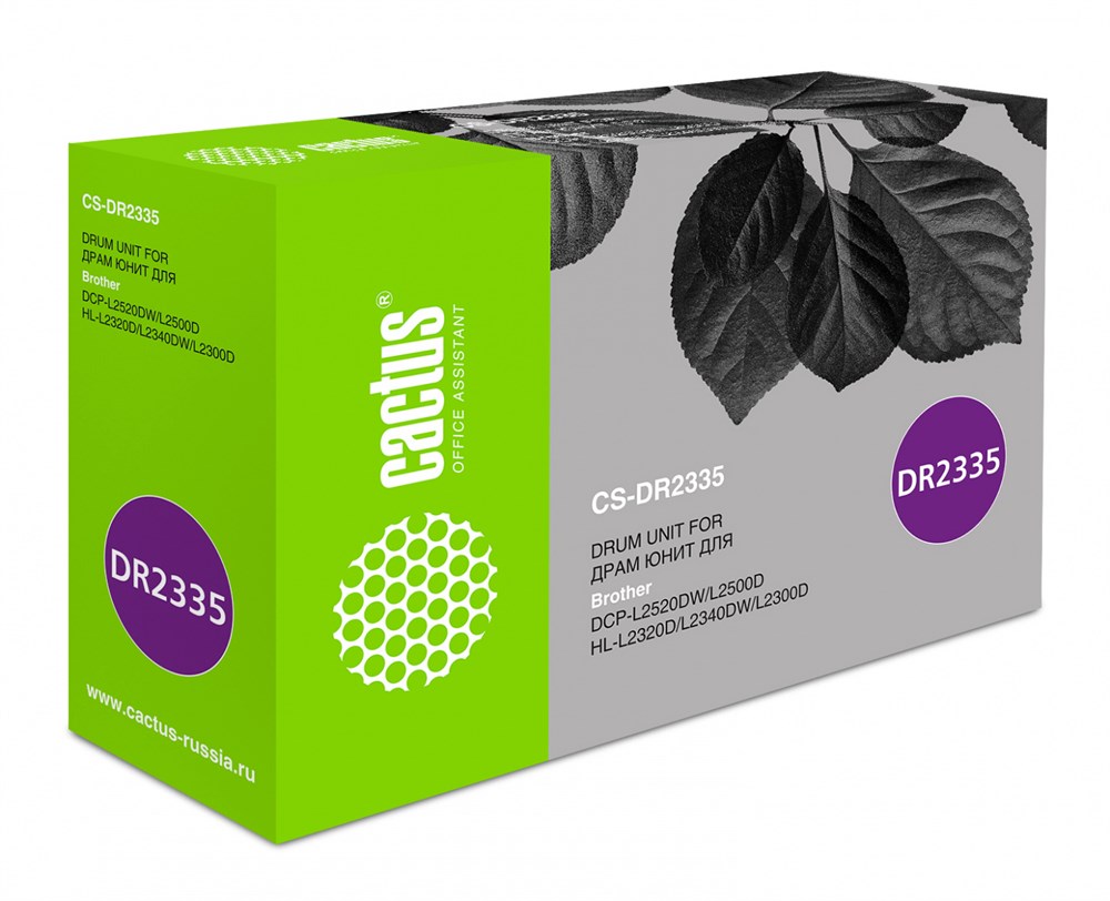 Cactus CS-DR2335 (черный)