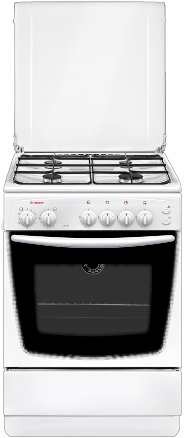 Газовая плита Gefest 1200 С5 (белый)